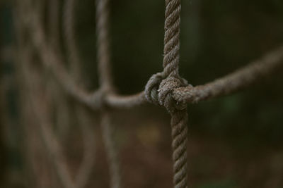Close-up of rope tied to metal fence