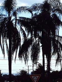 Silhouette palm trees by building against sky