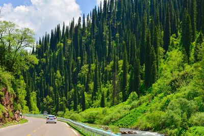 The scenery of duku highway in xinjiang is changeable and intoxicating