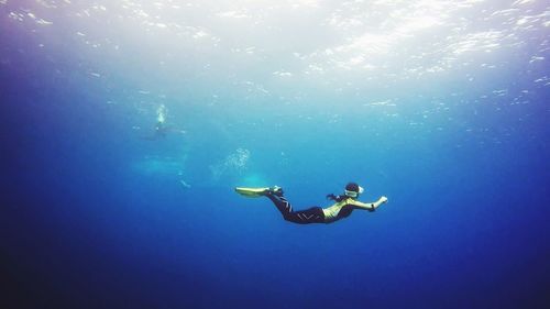 Person diving in sea