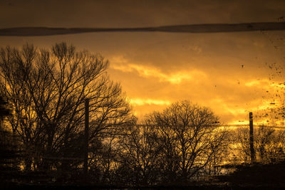 Silhouette trees against sky during sunset