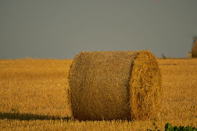 agriculture