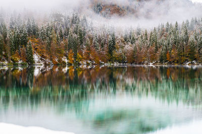 Scenic view of lake in forest during autumn