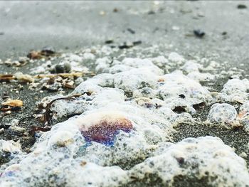 Close-up of pebbles on beach