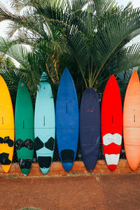 Multiple colorful surfboards line a fence with palm trees in the background in paia, maui, hawaii.