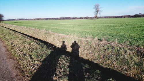 Scenic view of field against clear sky