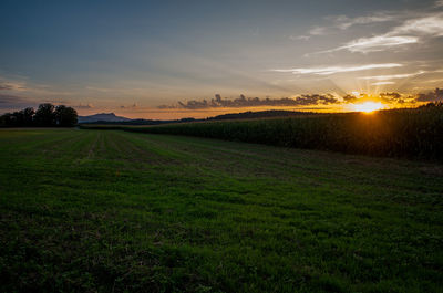 Scenic view of field against sky during sunset
