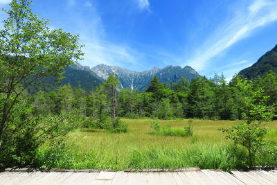 Scenic view of landscape against sky