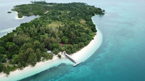 High angle view of trees on beach