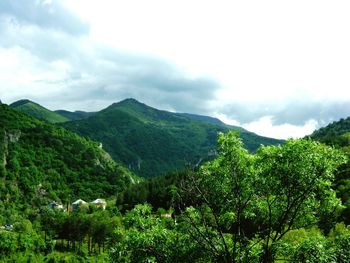 Scenic view of green landscape against sky