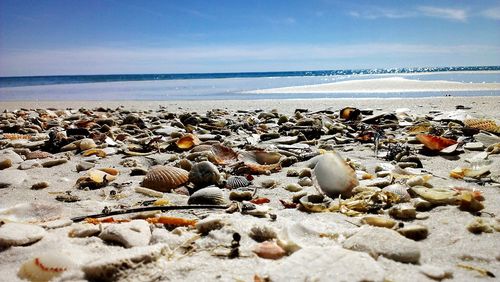 Surface level of rocks on beach