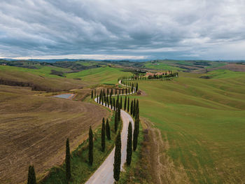 Scenic view of agricultural landscape against sky