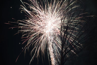 Low angle view of firework display at night