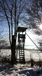 Bare trees against sky