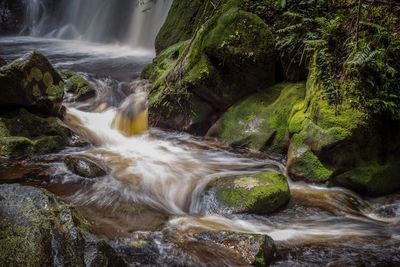 Scenic view of waterfall in forest