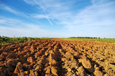 Scenic view of plowed agricultural field against sky