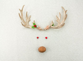 High angle view of berries on white background