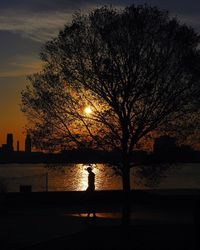 Silhouette tree against sea during sunset
