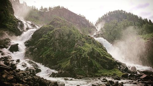 Scenic view of waterfall in forest