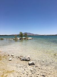 Scenic view of sea against clear blue sky