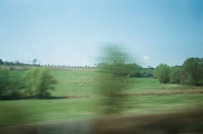 Scenic view of field against clear sky