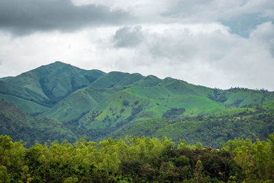 Mountain coverd with clouds and green forests