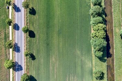 Parallel road and creek with trees