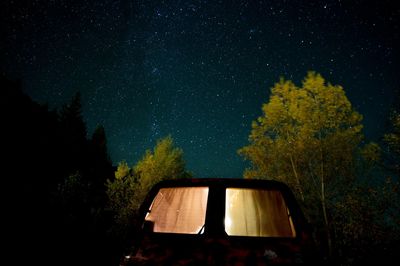 Trees against sky at night