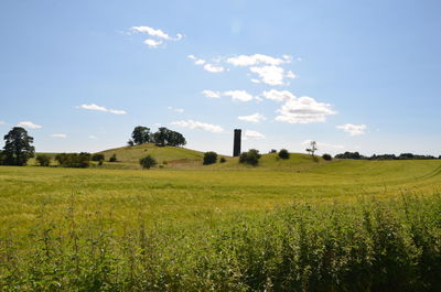 Scenic view of grassy field against sky