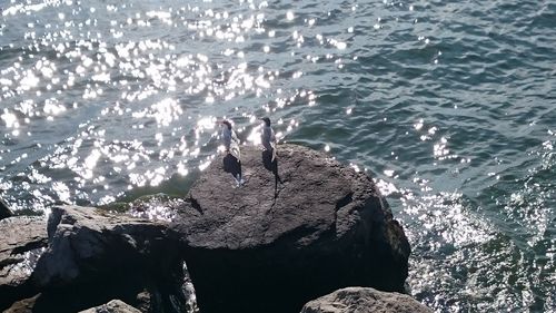 High angle view of sea by rocks