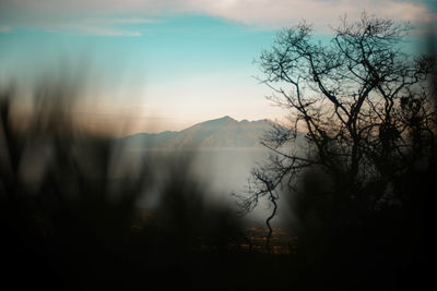 nature