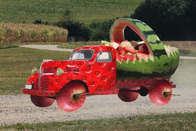 Red toy car on field