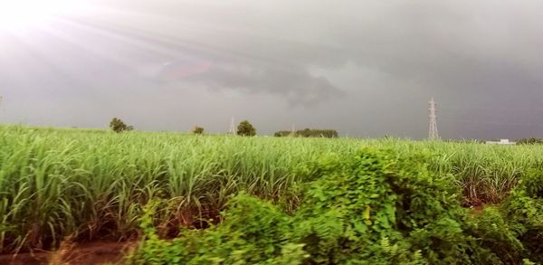 Scenic view of field against sky during rainy season