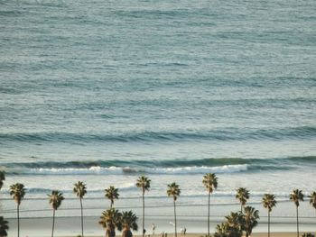 Scenic view of beach