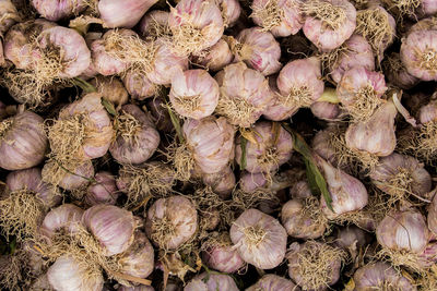 Full frame shot of garlic bulbs