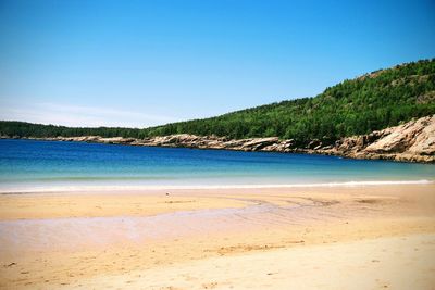 Scenic view of beach against clear blue sky