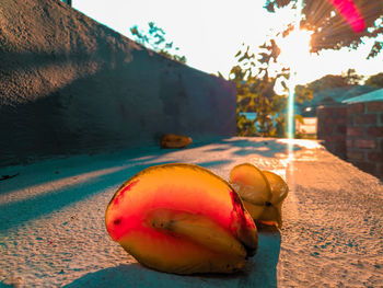 Close-up of fruits on the wall