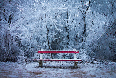 Red toy on snow covered landscape