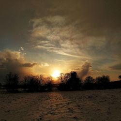 Silhouette trees on landscape against sky at sunset