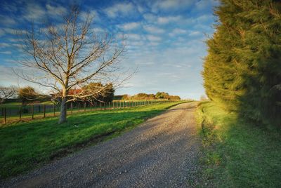 Road amidst field against sky