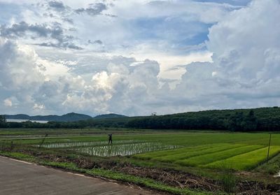 landscape
