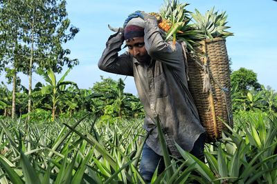 Rear view of woman standing amidst plants