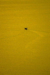 Silhouette boat sailing in sea