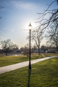 Street light by bare trees in park against sky