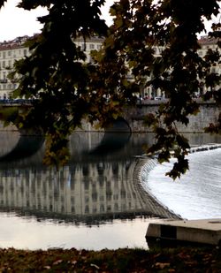 reflection