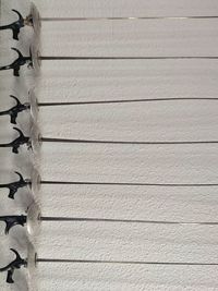 Full frame shot of footpath growing outdoors