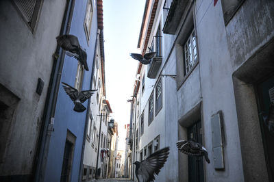 Low angle view of buildings against clear sky
