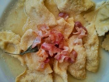 Close-up of meal served in plate