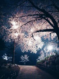 Street light at night