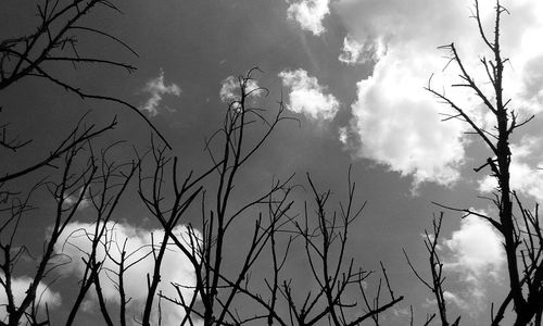 Low angle view of bare trees against cloudy sky